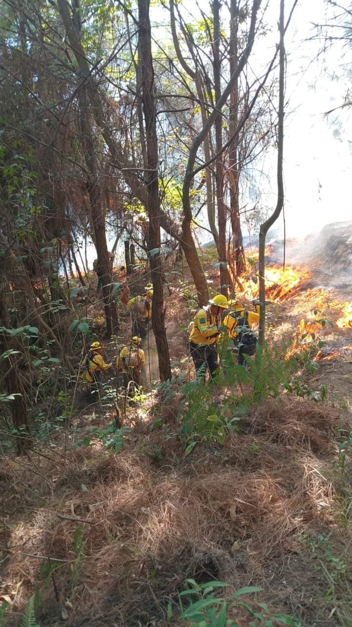 Brigadistas controlan incendio en el Cerro de la Charanda